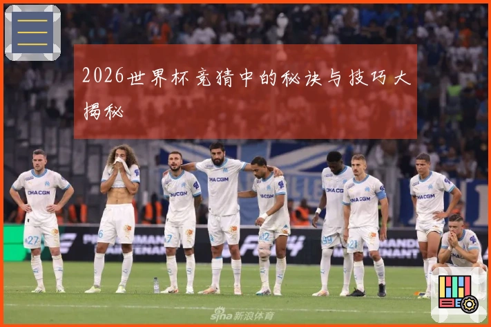 2026世界杯竞猜中的秘诀与技巧大揭秘