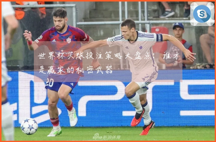 世界杯买球投注策略大盘点：谁才是赢家的秘密武器